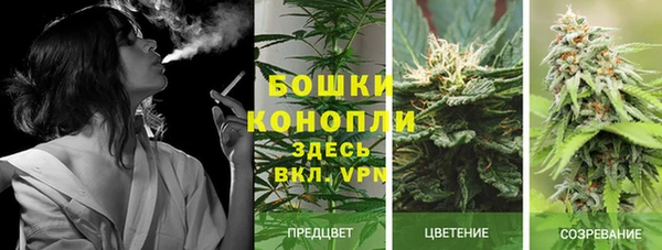 PSILOCYBIN Абинск