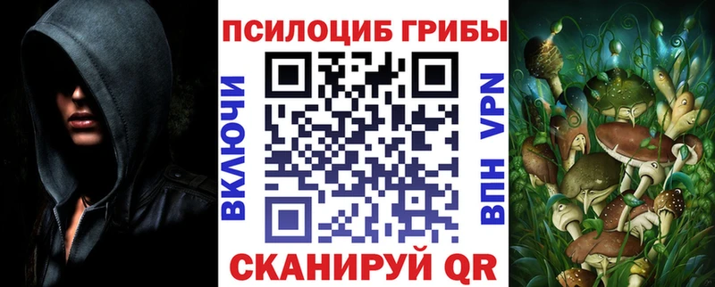 Галлюциногенные грибы мицелий  Елизаветинская 
