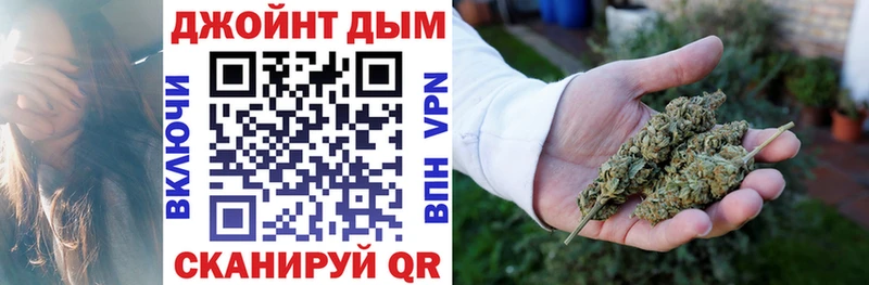 Канабис план  Елизаветинская 